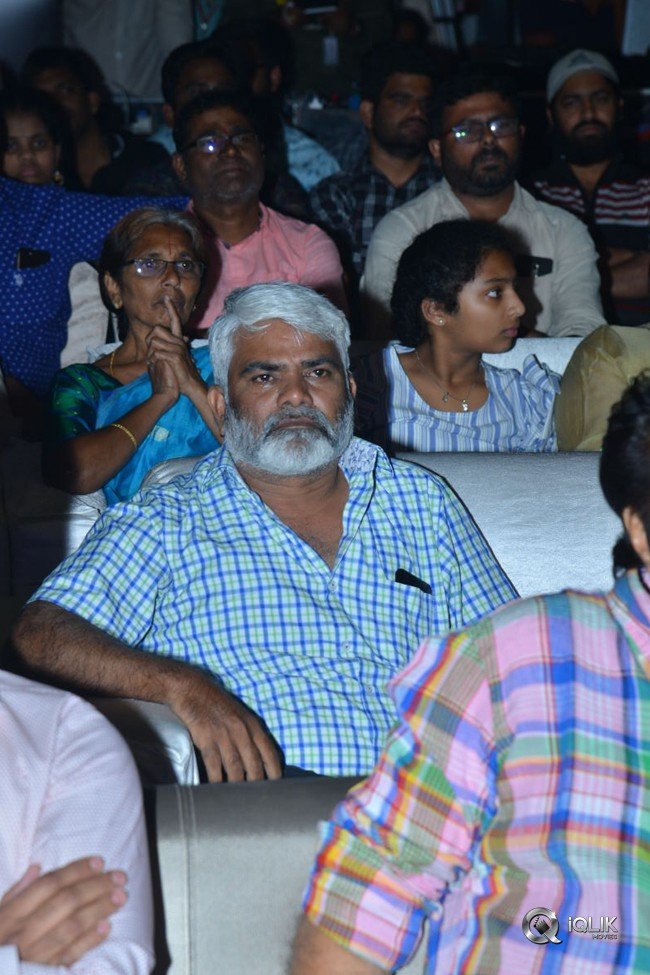 Yatra-Movie-Pre-Release-Event-Photos